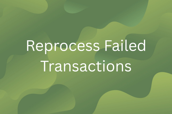 Simplifying Transaction Reprocessing for Workflow & Support Teams